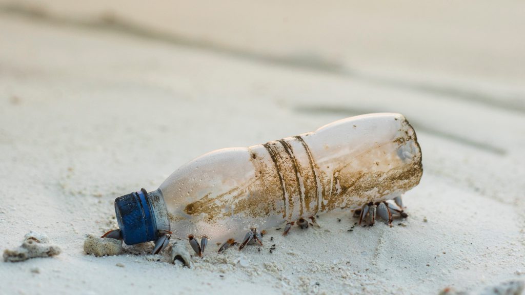 Take action to reduce plastic use