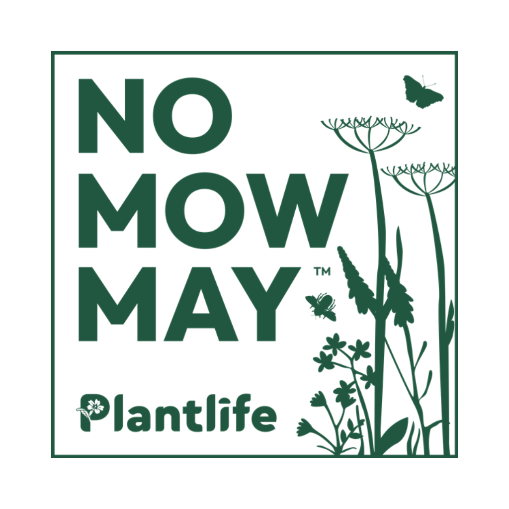 No Mow May - Plantlife