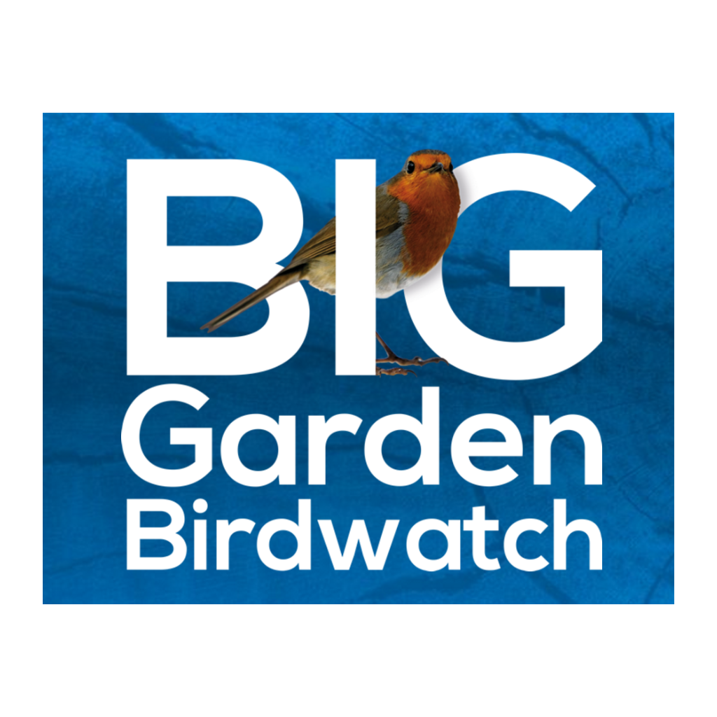 Big Garden Birdwatch