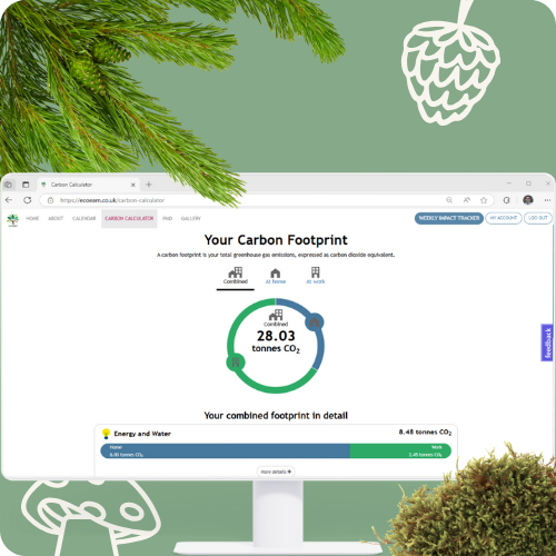 Screen showing the carbon calculator on the EcoEarn Platform