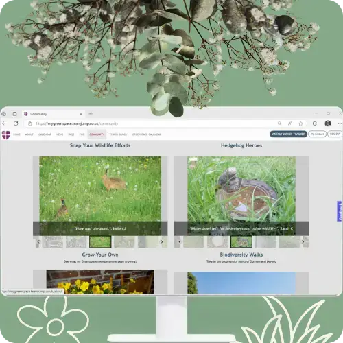 A computer screen showing photos posted to the activity feed within the desktop platform for the My Greenspace programme